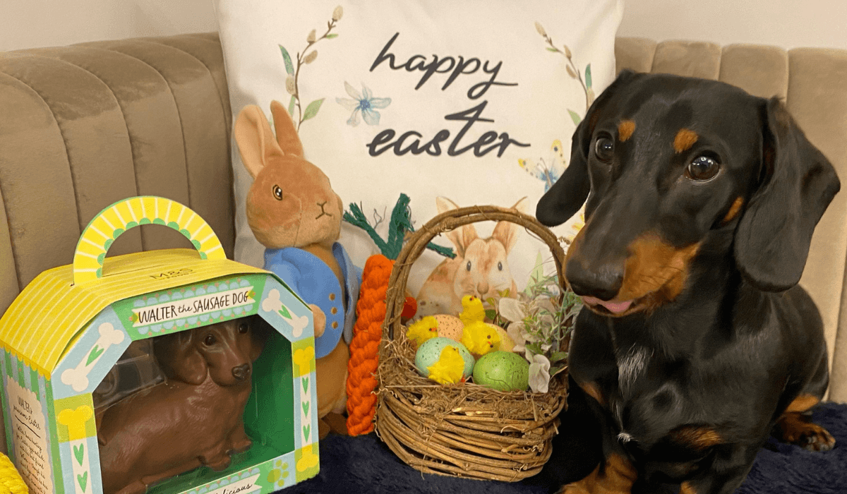 Tips for a dog friendly Easter